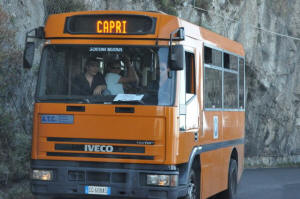 Capri Linienbus